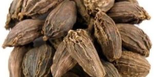 Black Cardamom