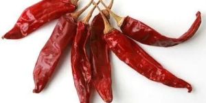 Dried Red Chilli