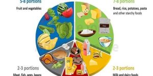 Nutrition Consultation Service