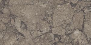 810041 Grey William Natural Polished Tiles