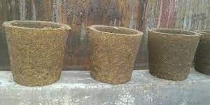 Cow Dung Pots