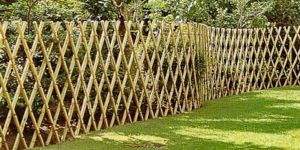 Bamboo Boundary Wall