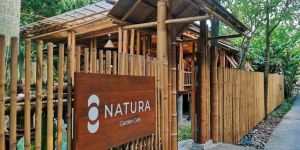 Bamboo Boundary Wall Installation Services