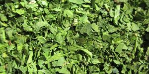 Dried Spinach Leaf