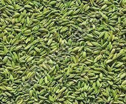Fennel Seeds