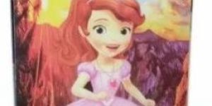 UV Printing Glossy Digital Printed Wooden Laminated Flush Door