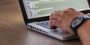 Web Development Services