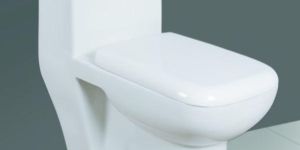103 One Piece European Water Closet