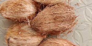 Semi Husked Coconut