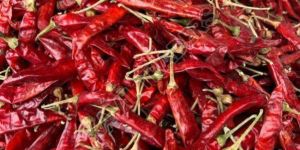 Endo 5 Dry Red Chilli