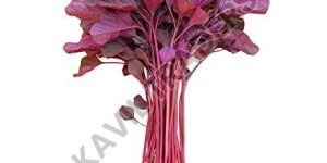 Fresh Amananthus Leaves