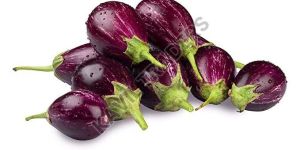 Fresh Brinjal