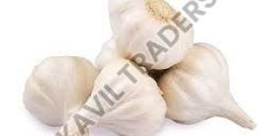 Fresh Garlic
