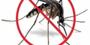 Mosquito Control Service