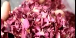 Dried Red Rose Petals