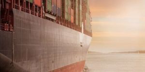 Import Export Service