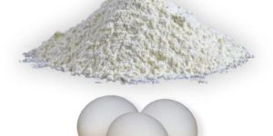 Egg Shell Powder