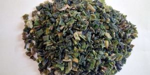 Dehydrated French Beans