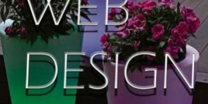 Website Designing