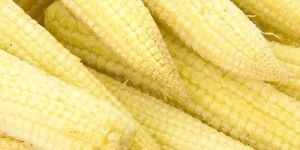 Fresh Baby Corn
