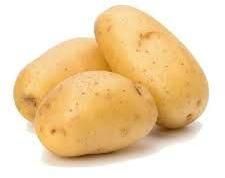 Fresh Potato