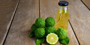 Bergamot Essential Oil