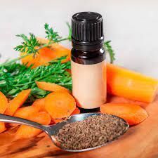 Carrot Essential Oil