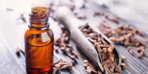 Clove Essential Oil