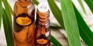 Eucalyptus Essential Oil
