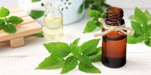 Green Leaf Aroma Oil