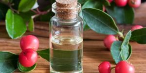 Wintergreen Essential Oil