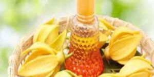 Ylang Ylang Essential Oil