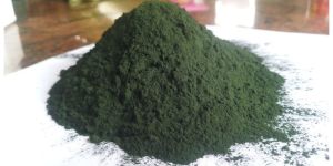 Spirulina Powder