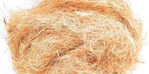 Coconut Coir Fiber