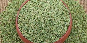 Fennel Seeds