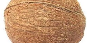 Fully Husked Coconut