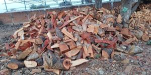 Boiler Gutka Firewood