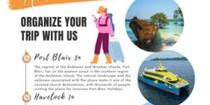 Andaman 5n6d Tour Package Service