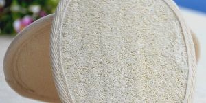 Loofah