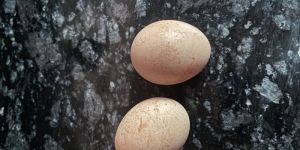 Desi Brown Eggs