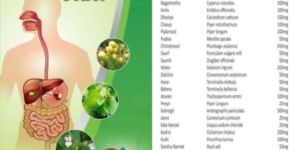 Herbal Enzyme Power Syrup