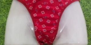 Ladies Printed Panty