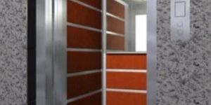Automatic Door Passenger Elevator