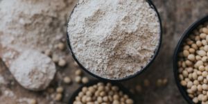 Defatted Soya Flour Toasted