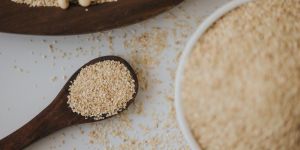 Defatted Toasted Soya Grit