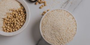 Defatted Soya Grit Untoasted