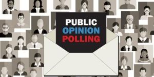 Opinion Poll Survey Services