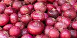 Fresh Onion
