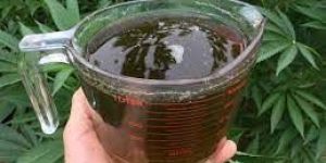 Vermicompost Liquid
