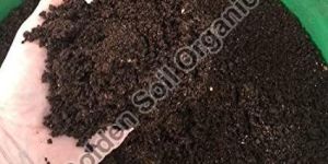 Vermicompost Powder